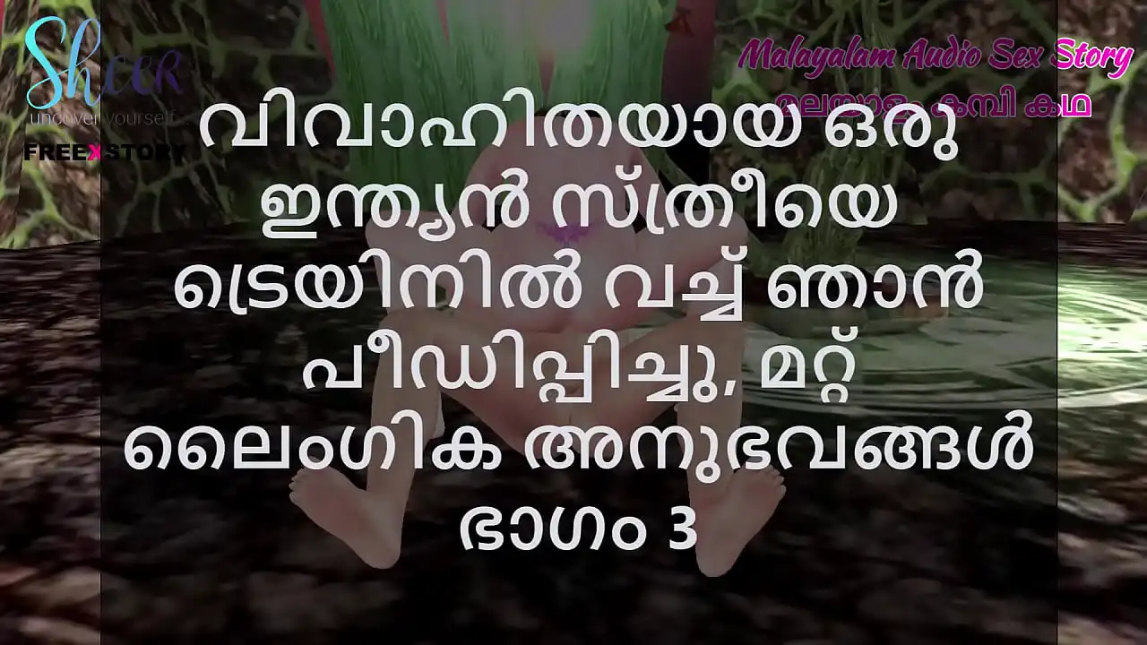 Malayalam Sex Story -Eu comi uma mulher indiana casada no trem e outras experiências sexuais, parte 3